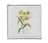 Ecusson Thermocollant Vetement 7x7cm - Bouquet Marguerite Jaune Biologie Illustration Ancienne - Patch a Repasser pour Reparation ou Customisation T-shirt Sac Jeans Imprime en France