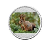 Ecusson Thermocollant Vetement Rond 7cm - Écureuil Sauvage sur une Branche de Sapin - Patch a Repasser pour Reparation ou Customisation T-shirt Sac Jeans Imprime en France
