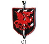 Ecussons Thermocollant Blason Dragon 6 X 3,5 cm - Mediac(...) - 06 Bleu 06 Bleu G