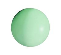 ECVGHD Petit ballon d'exercice de 25,4 cm pour pilates, yoga, salle de gym à domicile