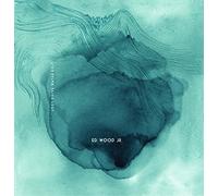 Ed Wood Jr. - Lost.Drive.Water.Exit