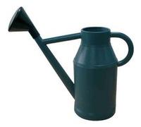 EDA - Arrosoir plastique rond Lyonnais + pomme 6 L Vert G