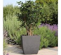 Pflanzen-Kölle Bac à fleurs DIVA BASALT carré 42 L bac intérieur amovible gris anthracite
