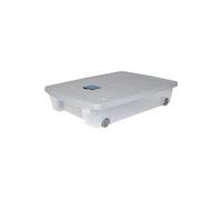 EDA PLASTIQUE Coffre de rangement dessous de lit 50 L avec roulettes - Gris et bleu - 77,5 x 59 x 16,5 cm