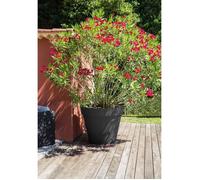 Pot de fleur rond Toscane Ø 100 x H.79 cm - Anthracite