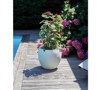 EDA-Pot egg Graphit blanc cérusé D50 x H45