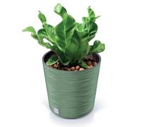 EDANTI Pot de fleurs, rond, grand/petit, pour l'intérieur et l'extérieur, pour fleurs, jardin, balcon, terrasse, maison, vert, 30 cm