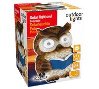 Edco Pot 871125290543 pr 2 LED à énergie solaire lumière motif chouette Multicolore