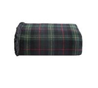 Eddie Bauer Couverture Parure de lit réversible en Flanelle de Coton pour Toutes Les Saisons, Sherpa, Tartan pin Rouge/Vert/Anthracite, Throw