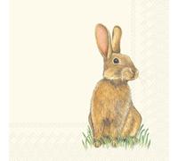 Eddie Rabbit Lot de 2 paquets de 20 serviettes de table Motif lapin