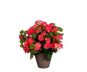 EDELMAN-Bégonia rose artificiel en pot gris Edelman - diamètre 36 x H 37 cm