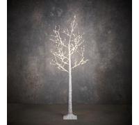 EDELMAN-Bouleau lumineux à lumière blanc fixe sur secteur - 150 x 80 cm