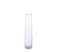 EDELMAN-Soliflore en verre transparent Xandra - diamètre 7 x H 30,5 cm