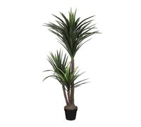 EDELMAN-Yucca artificiel en pot Mica Décorations - diamètre 80 cm x 160 cm
