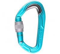 Edelrid - Bulletproof Screw II - Mousqueton à vis - icemint