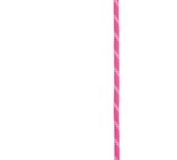 Edelrid Performance Static 10.5 Mm Rope Rose 200 m