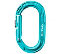 Edelrid - Kiwi Slider - Mousqueton à verrouillage - icemint