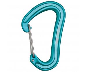 Edelrid - Nineteen G II - Mousqueton de progression - icemint