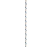 Edelrid Prostatic Synctec 10.5 Mm Rope Multicolore 50 m