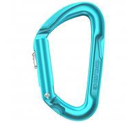 Edelrid - Pure Slider III - Mousqueton à verrouillage - icemint