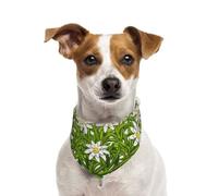 Edelweiss Fleurs de Montagne suisses,Bandanas pour Chien, écharpe en Coton, Bavoirs réglables pour Animaux de Compagnie,L