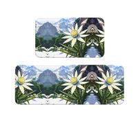 Edelweiss Lot de 2 tapis de cuisine antidérapants imprimés pour cuisine, buanderie et entrée