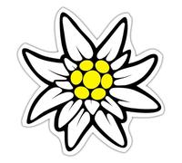 Edelweiss Montagne Fleur des Alpes Autocollant Sticker