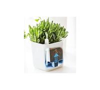 Eden Plantenpot Wit 16x16x17 Cm - 2,61 L Orthex 53710 Op=Op