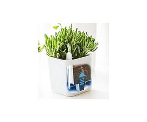 Eden Plantenpot Wit 16x16x17 Cm - 2,61 L Orthex 53710 Op=Op