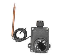 EDENEA - Relais Mise Hors Gel Piscine - Spécial Hivernage Actif - Protection Hiver Bassin - Montage sur Horloge Coffret Piscine