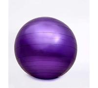 EdfYHSL Boule de Pilates Boule de Fitness de 55-75 cm Épaissi, Boule de Pilates à Balle épaissie de Mur de Boule de Yoga pour l'exercice Ballons de Pratique Miniature (65 cm)