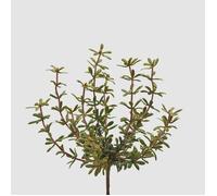 EDG CESPUGLIO ARTIFICIALE DI PORTULACCA H27CM CON BACCHE ARANCIONI, CASA, ACCESSORI DECORATIVI, FIORI ARTIFICIALI