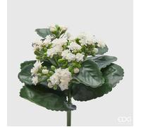 EDG CESPUGLIO DI KALANCOE H23XD19CM BIANCO, CASA, ACCESSORI DECORATIVI, FIORI ARTIFICIALI