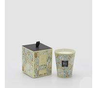EDG Enzo De Gasperi Enzo De Gasperi Bougie Heritage avec Parfum H 12 Cm Herbal Treasure