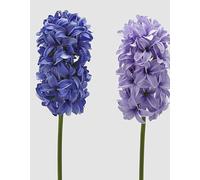 EDG Enzo De Gasperi Enzo De Gasperi Branche Jacinthe Artificielle Ass. H 45 Cm Violet Mix 1 Pcs