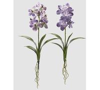 EDG Enzo De Gasperi Enzo De Gasperi Bush Orchidée Vanda Artificielle avec Feuille H 70 Cm Ass. Violet 1 Pcs