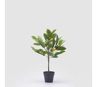 EDG Enzo De Gasperi Enzo De Gasperi Plante Artificielle de Citrons avec Vase H 48 cm Green Mix