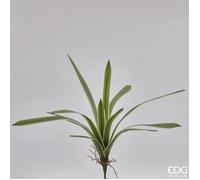 Edg Pianta Artificiale Falangio Real H51cm 12 Foglie, Casa, Accessori Decorativi, Fiori Artificiali