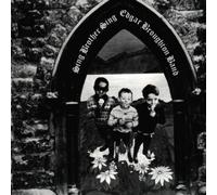 Edgar Broughton Band - Brother Sing [Import]