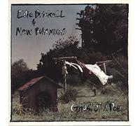 Edie Brickell & New Bohemians - Ghost of a Dog (1990) [Import]