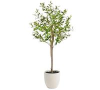 edihome, Grande Plante Artificielle d'olivier 120 cm - Décoratives, Arbre, décoration d'intérieur, Bureau, hôtel, événements, Plante Artificielle réaliste avec détails méditerranéens (Olivier, 120)