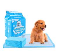 Edipets, Alaise pour Chien, Alese Jetable, 45x60, Tapis pour Chiot, Apprentissage de la Propreté, Anti-Fuite et Résistante (40 Pièces)