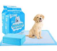 Edipets, Alaise pour Chien, Alese Jetable, 60x90, Tapis pour Chiot, Apprentissage de la Propreté, Anti-Fuite et Résistante (40 pièces)