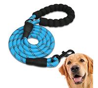 EDIPETS, Laisse Chien, Laisse de Dressage pour Chien, Rembourrée, Poignée Souple, Corde pour Chiots et Petits, Moyens et Grands Chiens, 1,2 et 1,5 mètres. (1.5 M, Bleu)