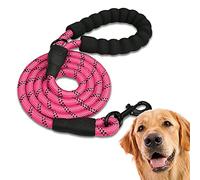 EDIPETS, Laisse Chien, Laisse de Dressage pour Chien, Rembourrée, Poignée Souple, Corde pour Chiots et Petits, Moyens et Grands Chiens, 1,2 et 1,5 mètres. (1.5 M, Rose)
