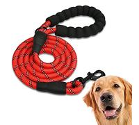 EDIPETS, Laisse Chien, Laisse de Dressage pour Chien, Rembourrée, Poignée Souple, Corde pour Chiots et Petits, Moyens et Grands Chiens, 1,2 et 1,5 mètres (2.2 M, Rouge)