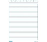 EDIPRO - E3393BL - 100 cartes lignées bleues f.to 24x17