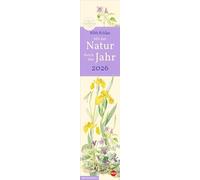 Edith Holden: Mit der Natur durchs Jahr Kalender 2026: Werke der britischen Künstlerin in einem länglichen Kalender. Wunderschöne Zeichnungen im Jahres-Wandkalender 2026.