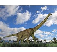 Edition Colibri Brachiosaurus Dinosaurier 10221 Carte postale lenticulaire avec effet oscillant / 6 images interchangeables dans une carte d'affichage