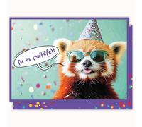 Edition Colibri Carte d'anniversaire - Panda roux joyeux | Lot de 10 cartes plates (A6) - Verso à écrire